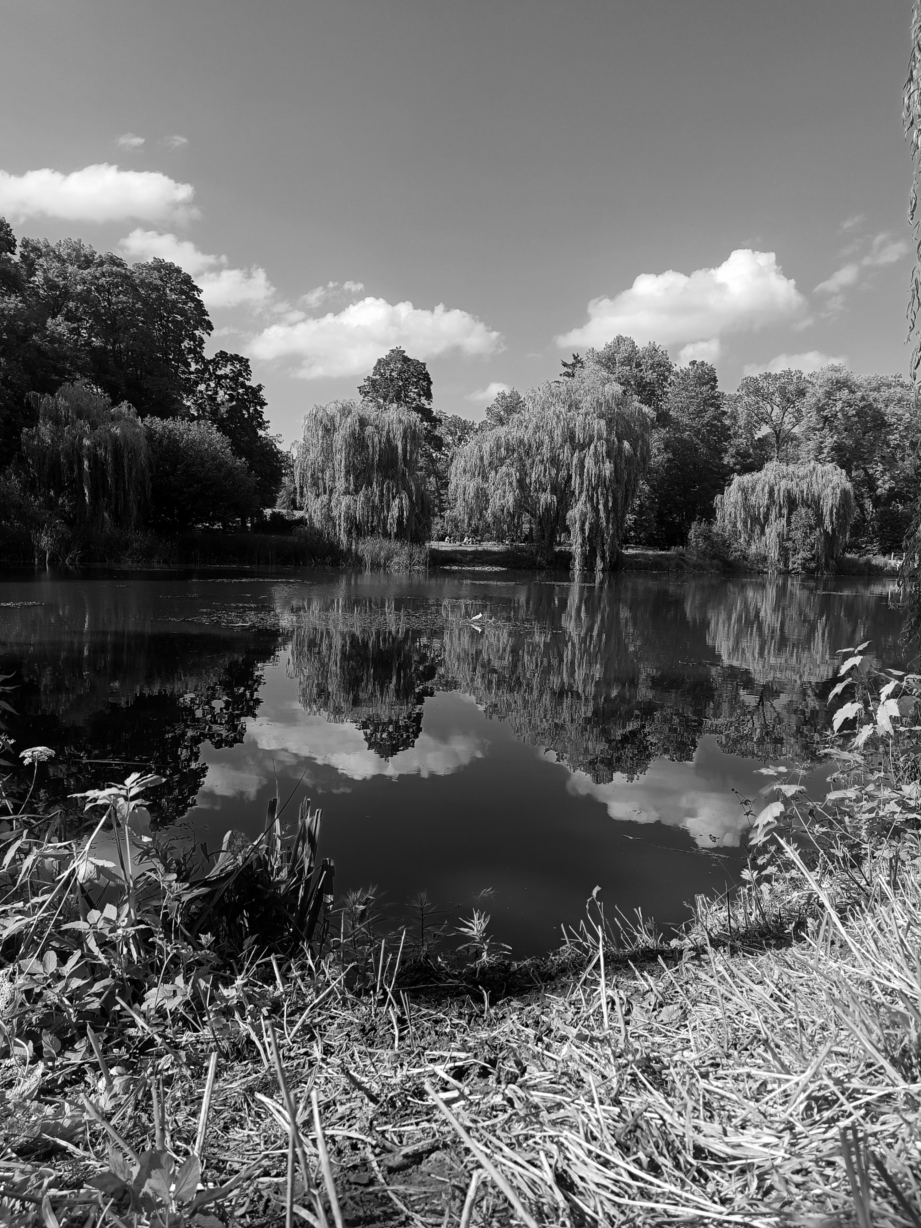 park na radogoszczu, staw 